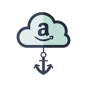 Home 44 Amazon cloud illustration