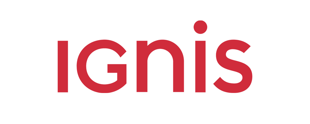Home 23 Ignis creative logo